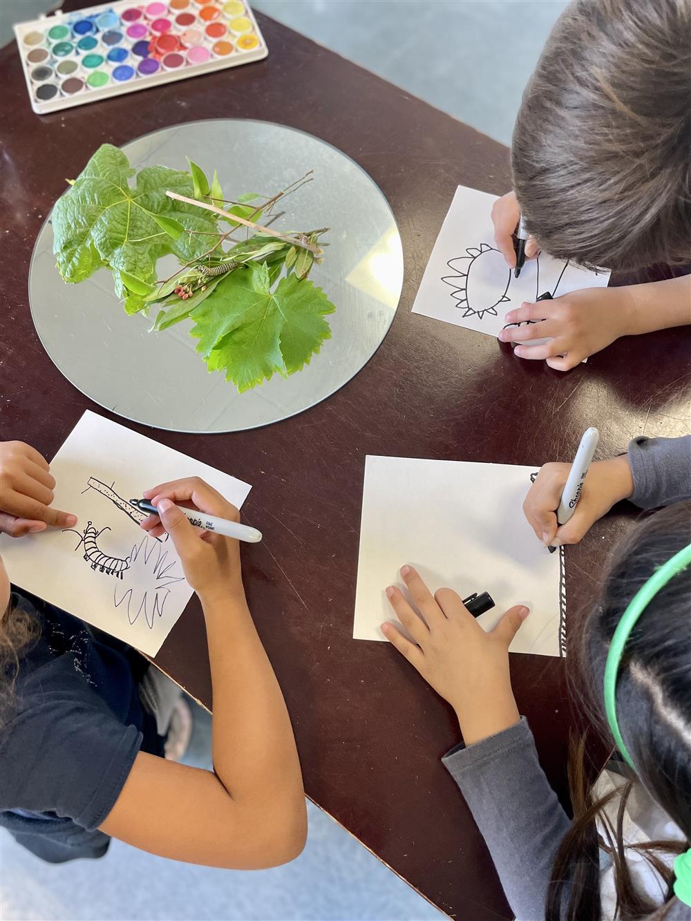 3 students sitting at a table investigating leaves and drawing them on a paper with black marker.