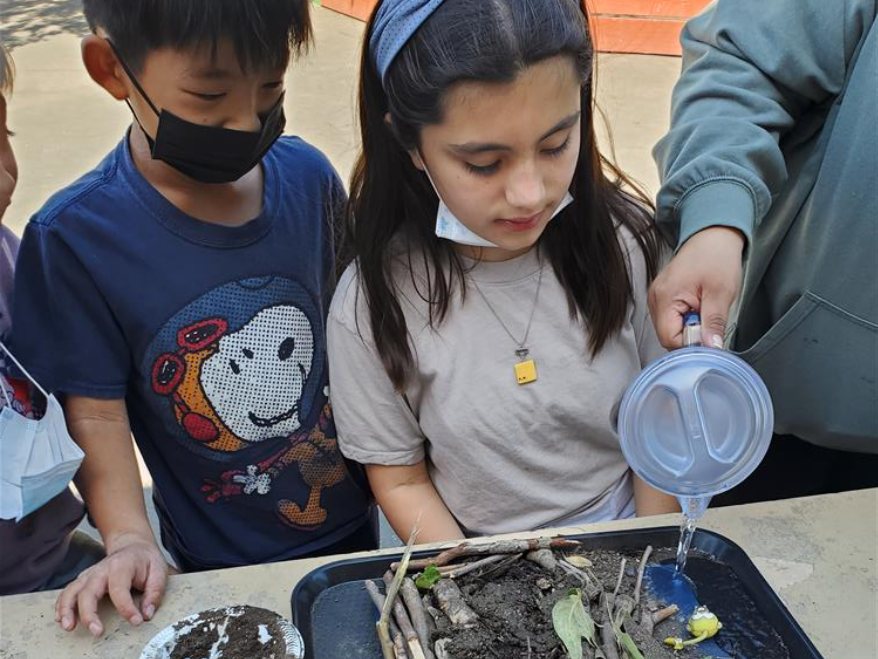 3 students observing as a teacher pours water from a pitcher onto a child made beaver damn constructed of sticks, mud and leaves.