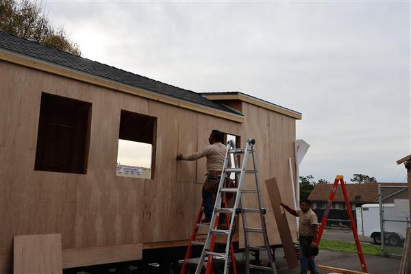 Students installing the moisture barrier to protect the wood of the structure and cutting out windows.