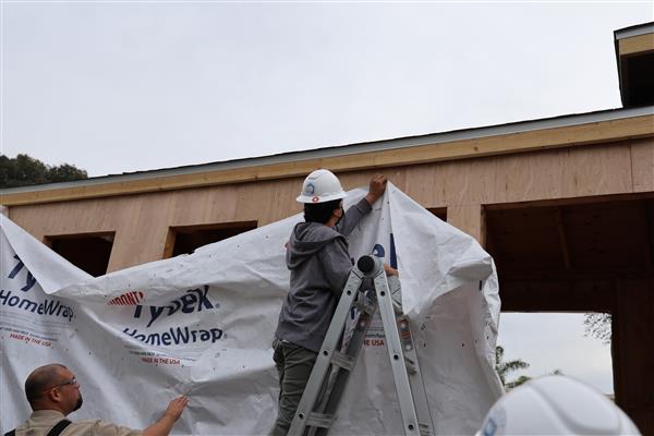 Students installing the moisture barrier to protect the wood of the structure and cutting out windows.